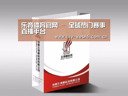 项目名称十三