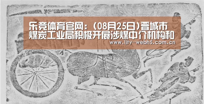 乐竞体育官网:(08月25日)晋城市煤炭工业局积极开展涉煤中介机构和行业协会专项整治煤炭局(图2) 乐竞体育app