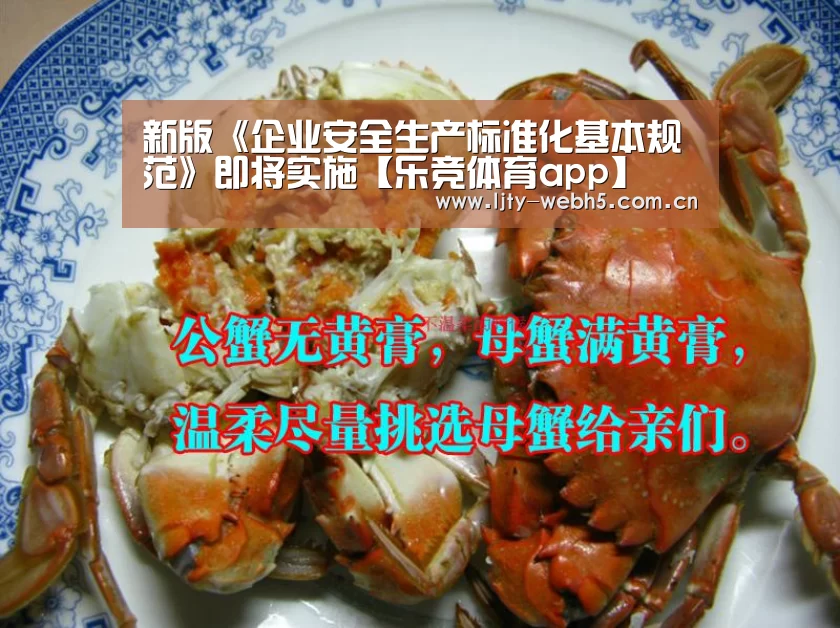 新版《企业安全生产标准化基本规范》即将实施【乐竞体育app】(图1) 乐竞体育平台