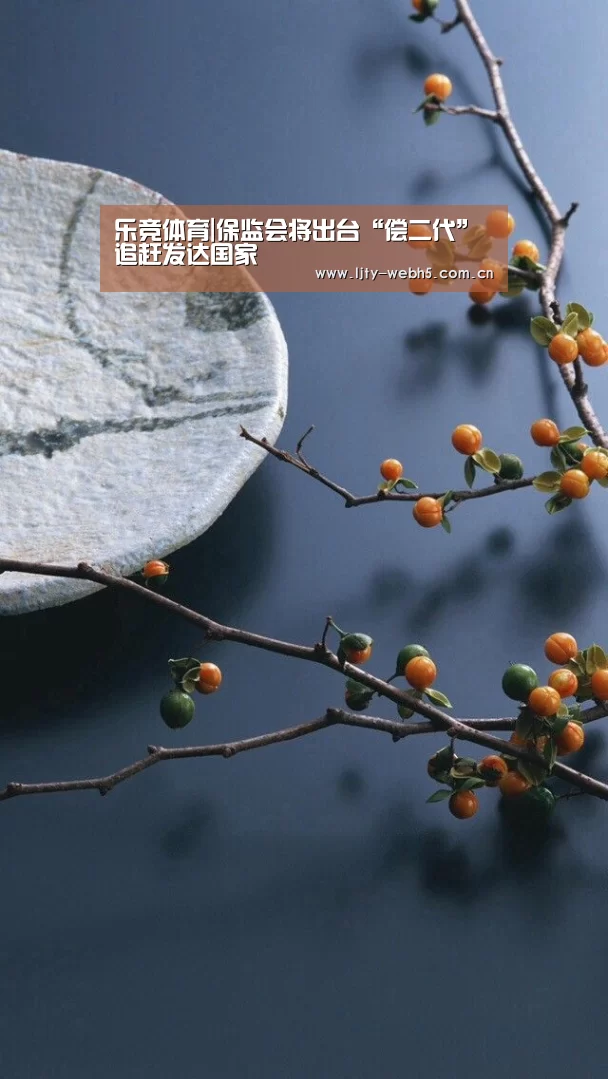 乐竞体育|保监会将出台“偿二代”追赶发达国家(图1) 乐竞体育平台
