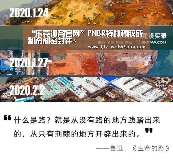 “乐竞体育官网”PNBR特种橡胶成制冷剂密封件*(图4) 乐竞体育官网