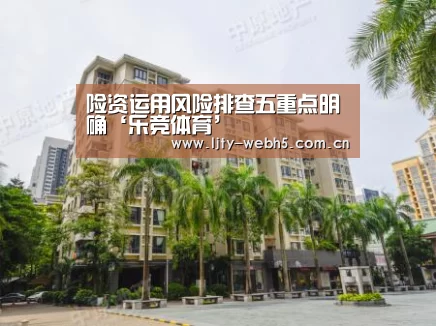 险资运用风险排查五重点明确‘乐竞体育’(图1) 乐竞体育